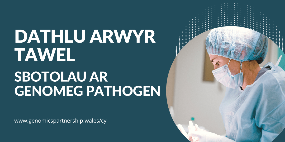 GPW DATHLU ARWYR TAWEL SBOTOLAU AR GENOMEG PATHOGEN